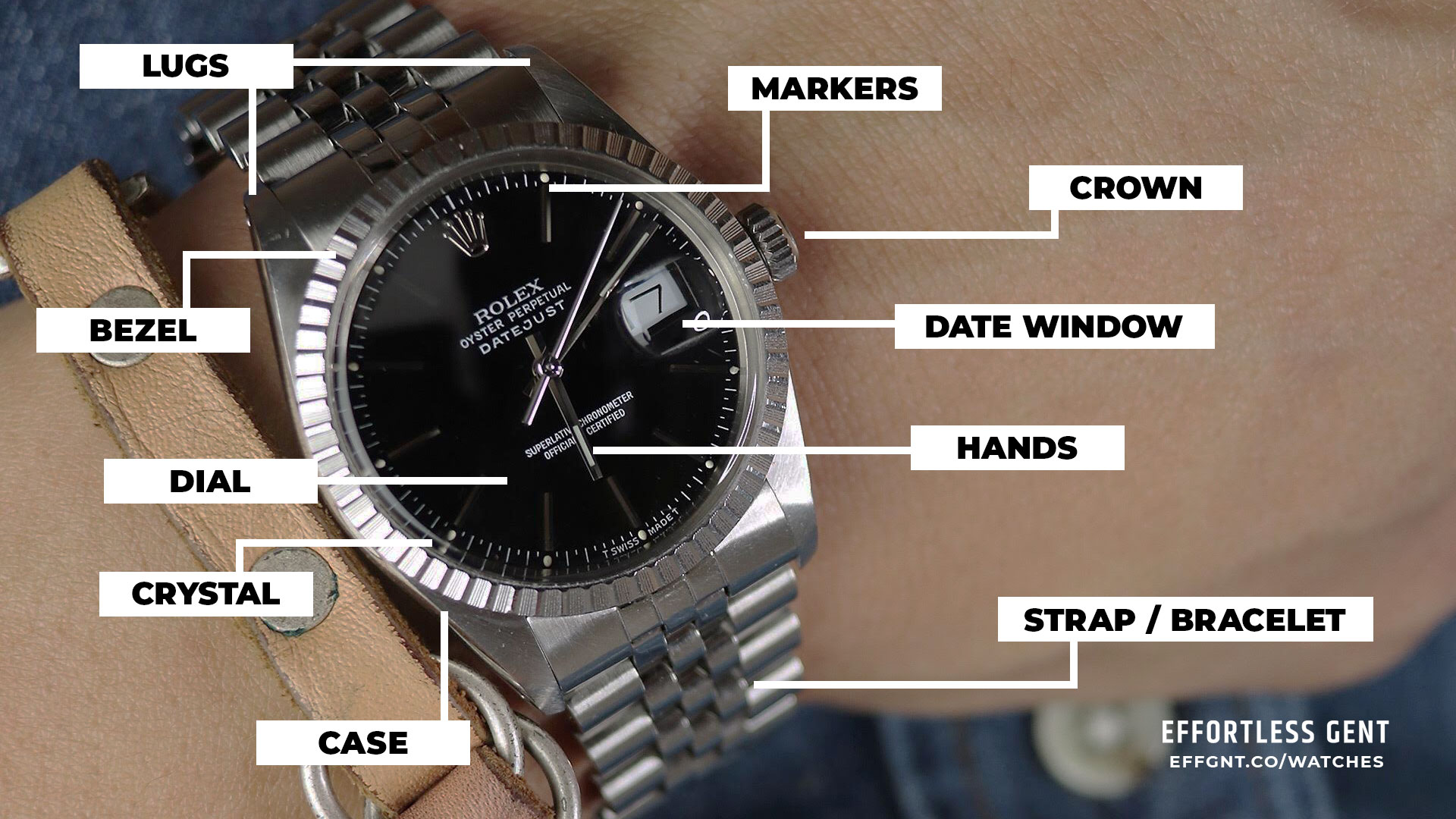 anatomy of a mens watch